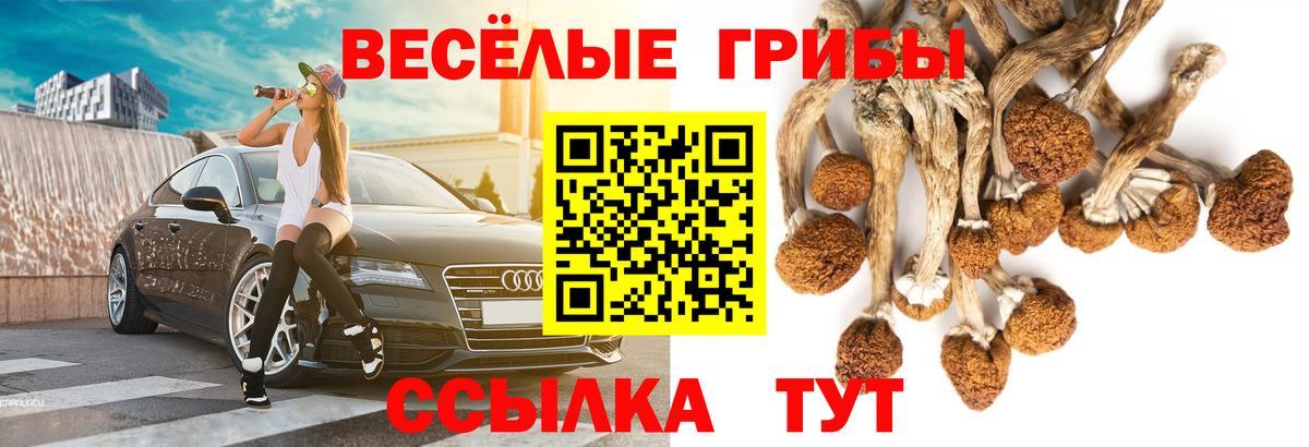 Псилоцибиновые грибы ЛСД Обь